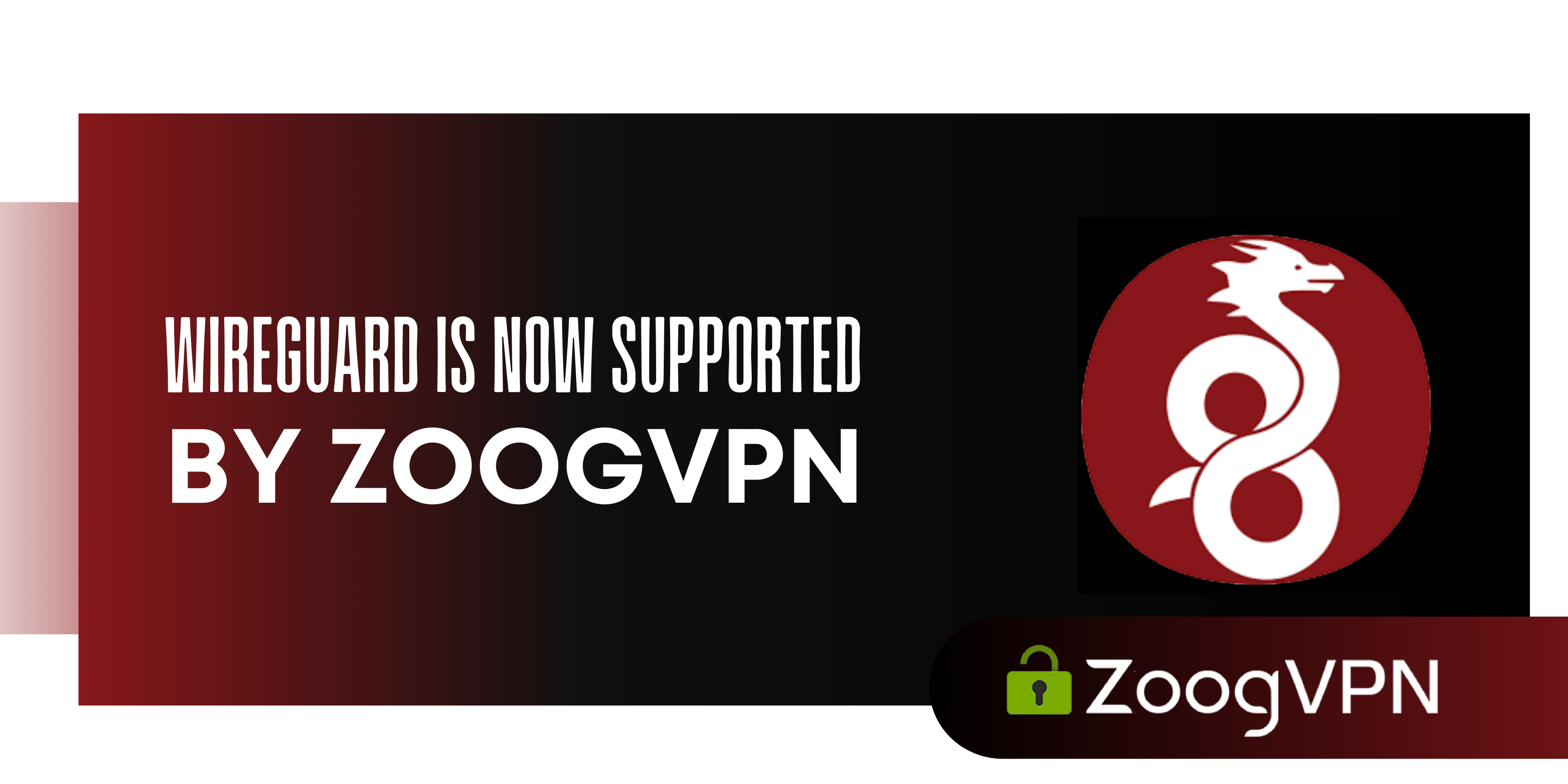 wireguard back